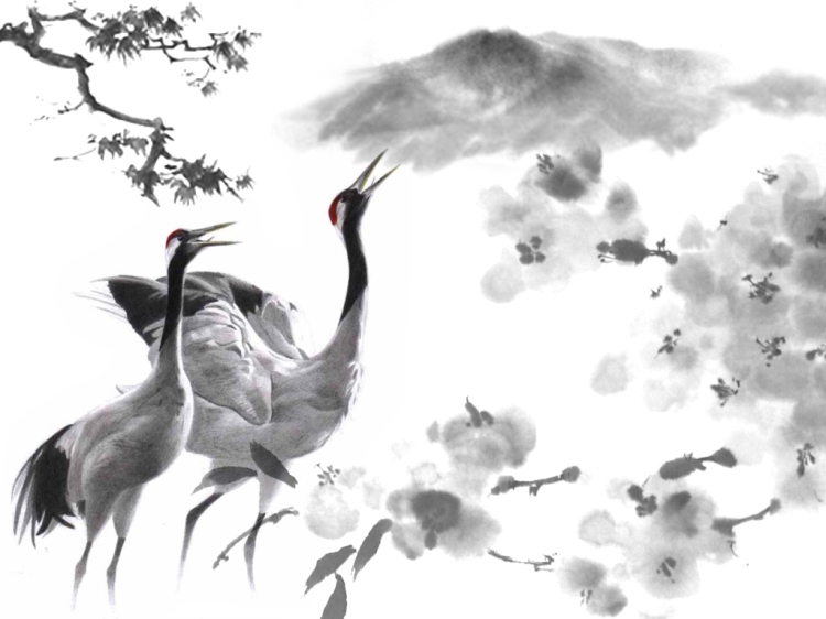 japanese_cranes_by_tsukku
